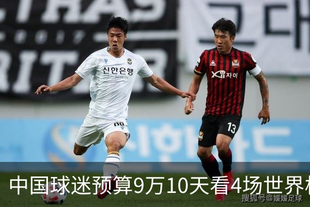 中国球迷预算9万10天看4场世界杯：为了见梅西和C罗，只好拼了